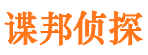 东源市调查公司